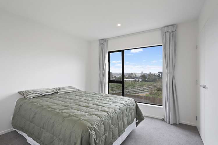 37 Ara Mara Hua Henderson_13