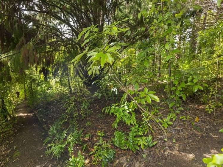 1 Freemans Way Pinehaven_4