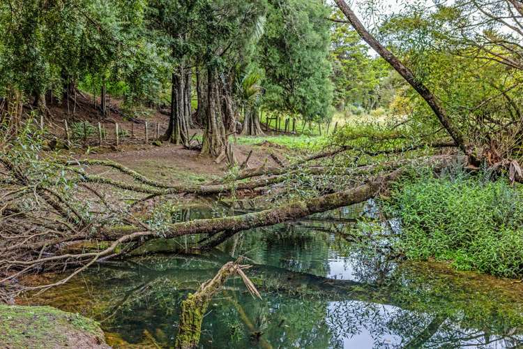 5B Peria Road Kaitaia_25