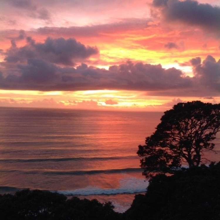 162g Whitipirorua Road Onemana_14