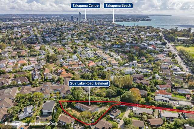 207 Lake Road Belmont_2