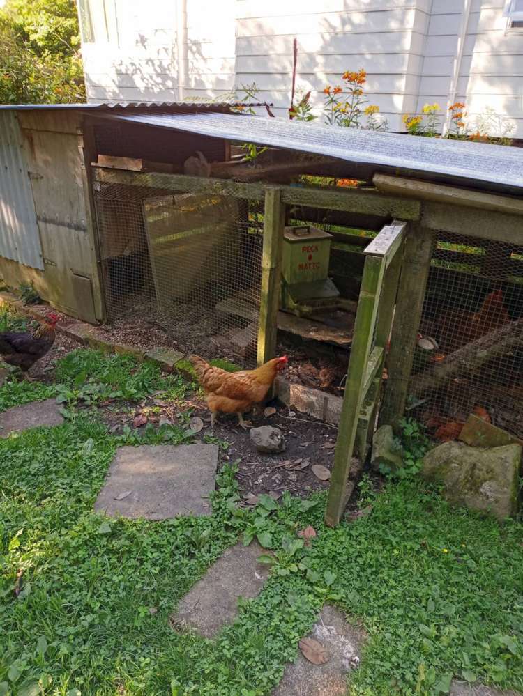 102 Waitetuna Valley Road Raglan_9