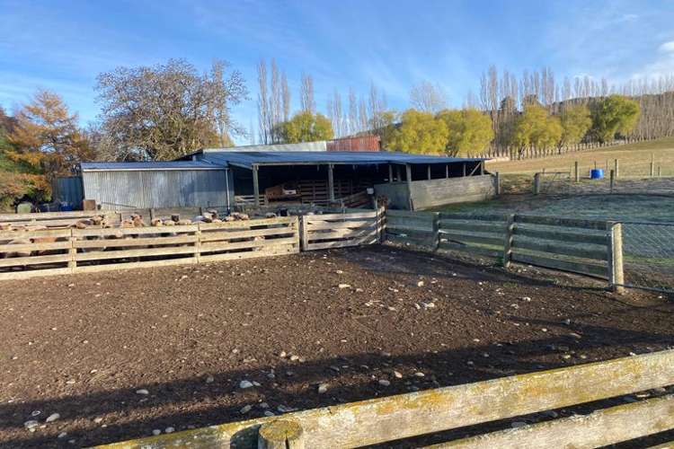 176 Campbells Road Waimate_23