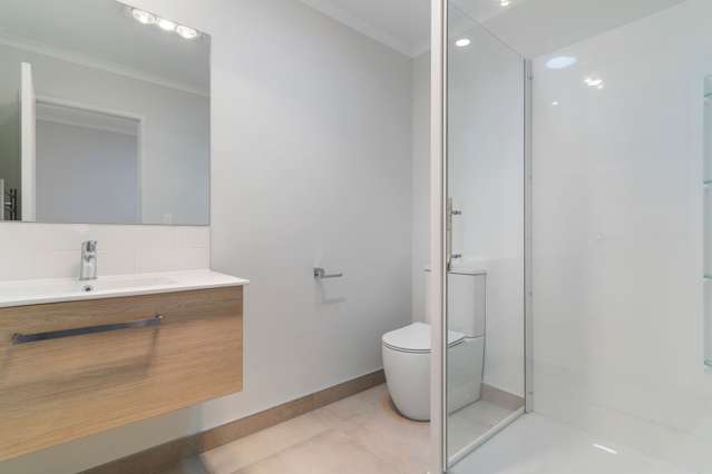 3/492C Richardson Road Mount Roskill_1