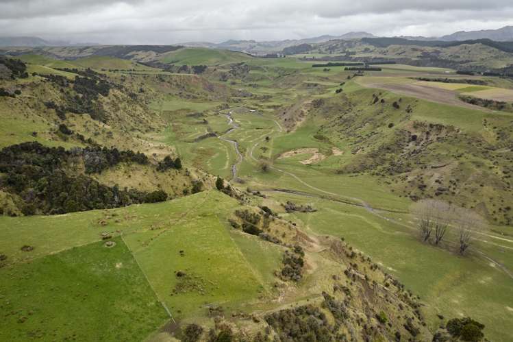 3717 Inland Kaikoura Road Mt Lyford_31