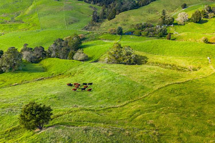 118 Paparoa Station Road Paparoa_10