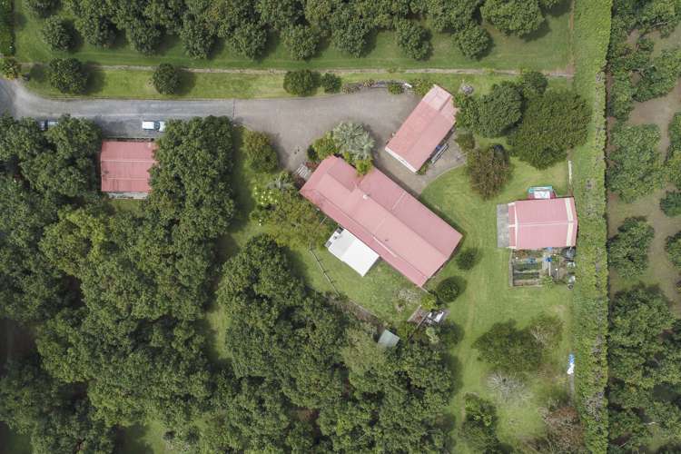 71 Plummers Point Road Whakamarama_19
