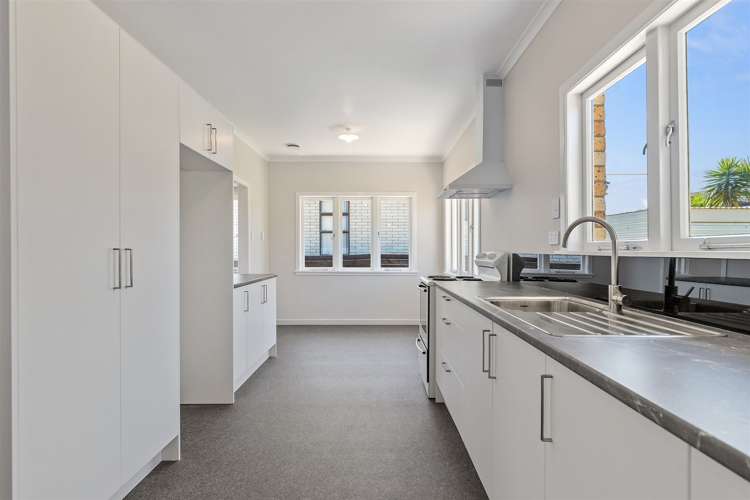 24 David Street Morrinsville_1