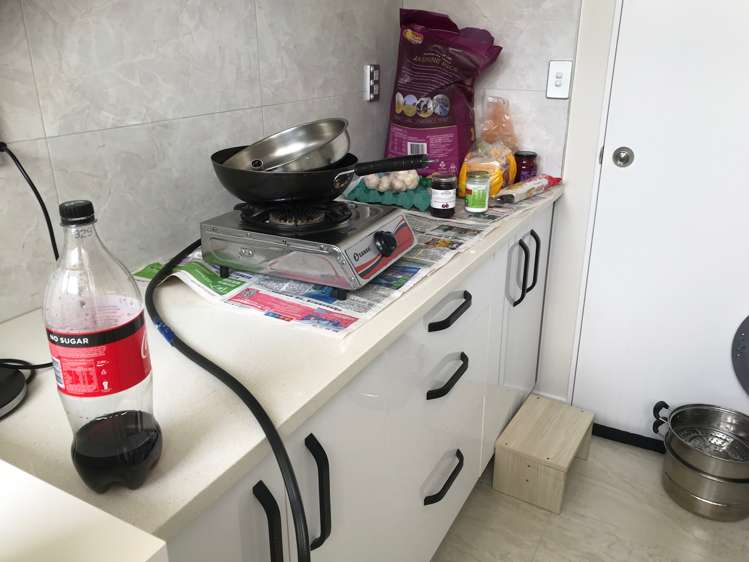 21 Hakinakina Drive Flat Bush_7