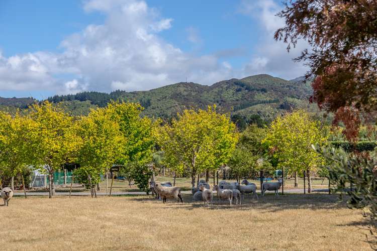 161 Boundary Road Tauwharenikau_16