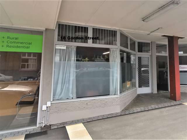 18 Gordon Street Dannevirke_4