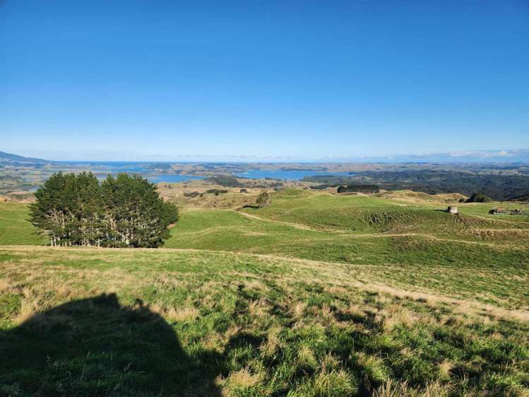 319 Ohautira Road Raglan_12