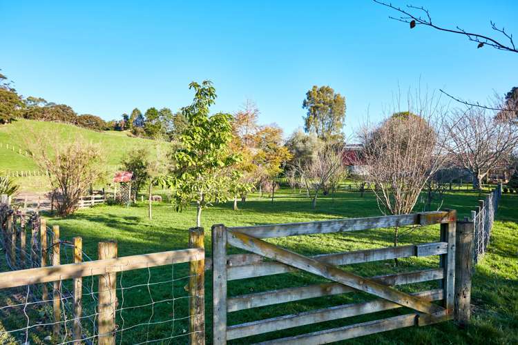 55 Ayton Street Mangapapa_6