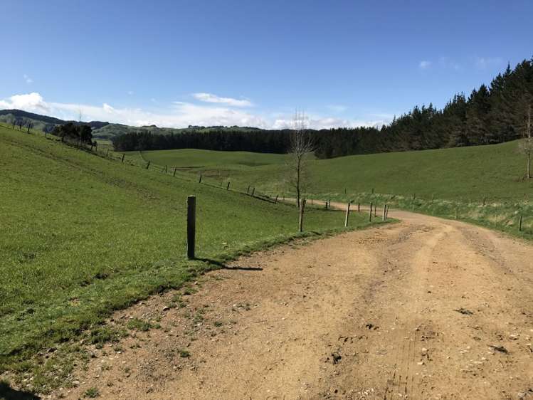 1232 Ngaroma Road Wharepuhunga_15