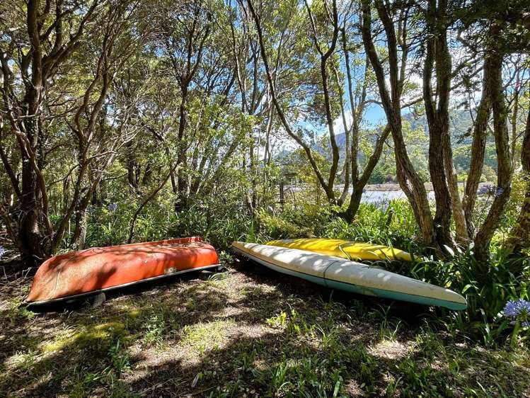 56 Totara Avenue Collingwood_7