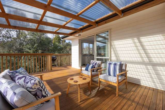 46b Roick Parade Glen Eden_3