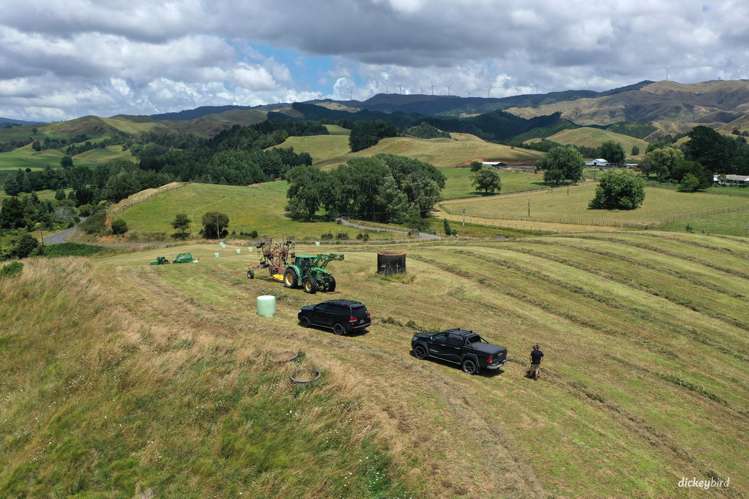 211 Waitetuna Valley Road Raglan_23