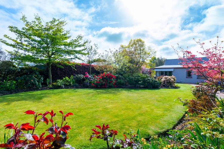 212 Talbot Street Geraldine_19