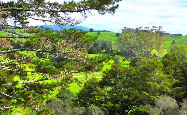 334 Otaua Road Taheke_7