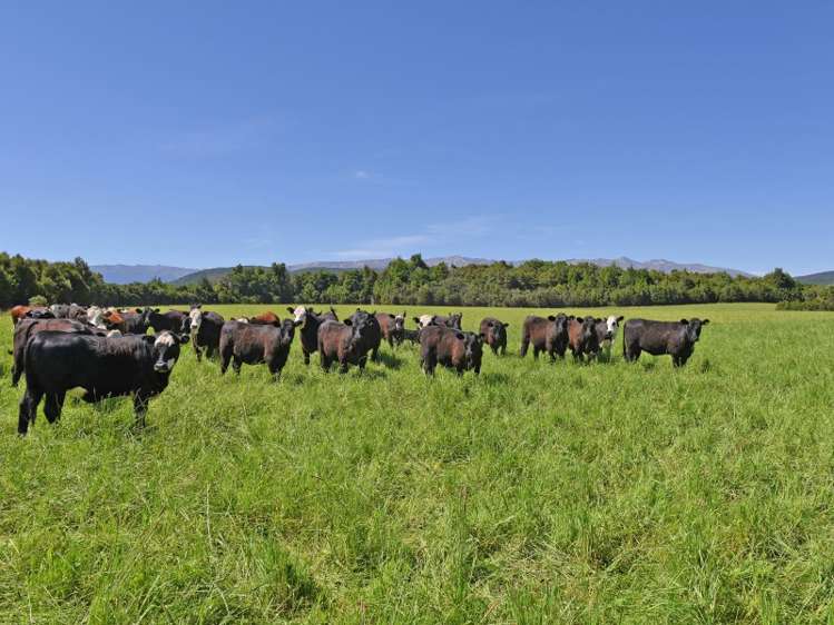 115 Howard Valley Road Kahurangi National Park_19