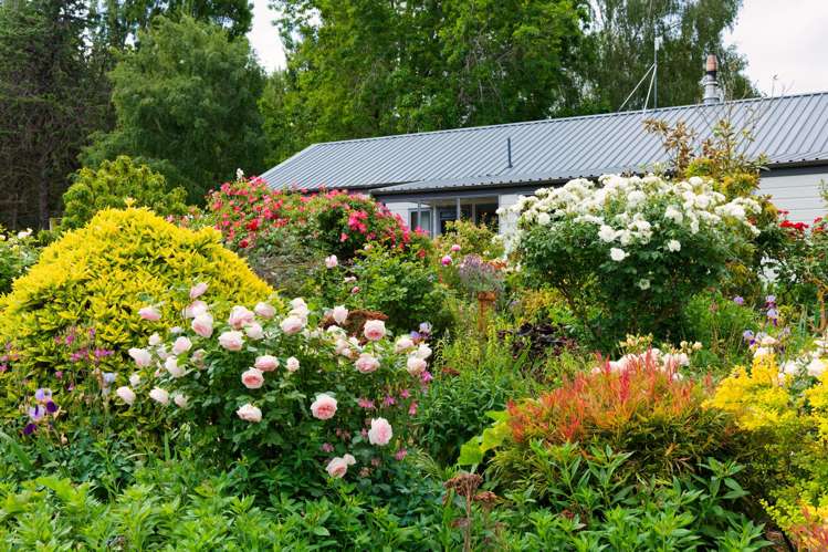 257 Waiau West Road Cheviot_20