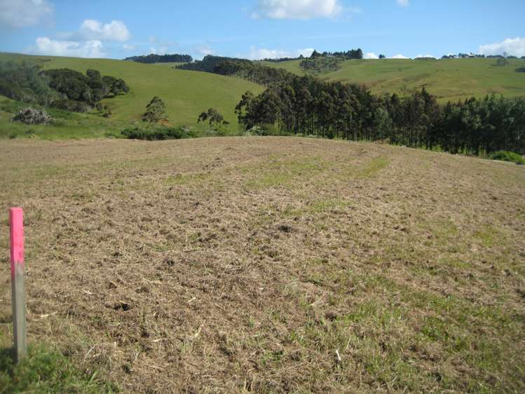 32 Pekama Drive Cable Bay_18