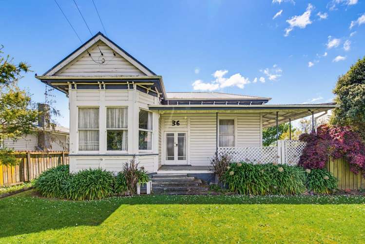 36 Mabel Street Levin_12
