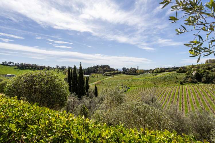 257 Black Barn Road Havelock North_27