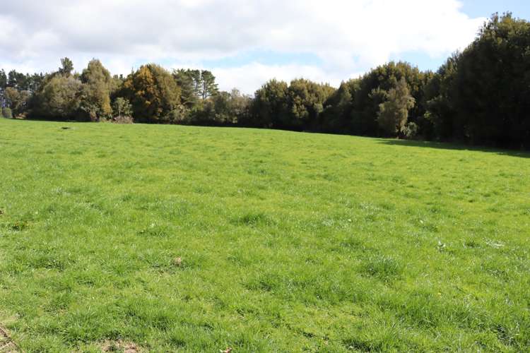 2403 Mountain Road Tariki_18