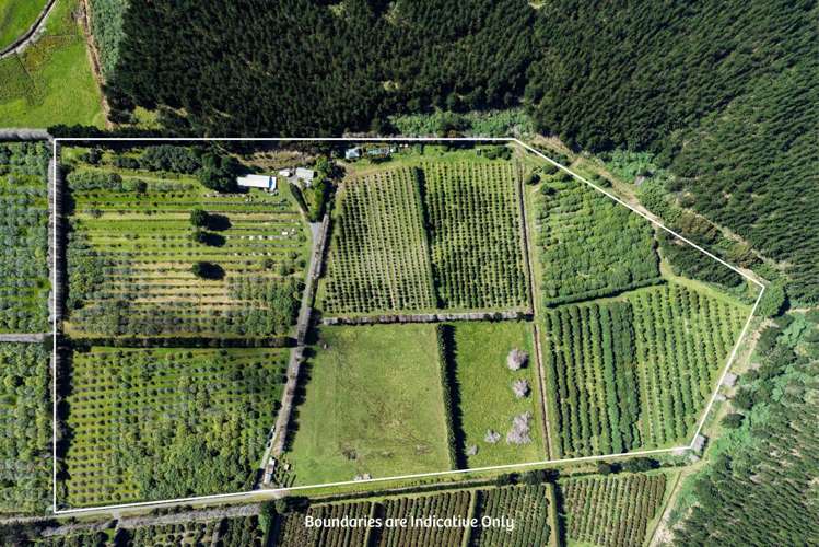 101 Turk Valley Road_1