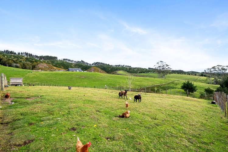 438C Glenmohr Road Waipu_28