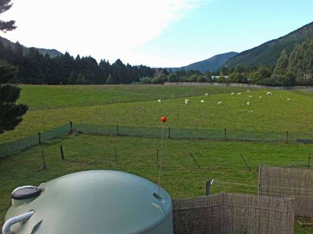 756 Wakamarina Road Havelock_1