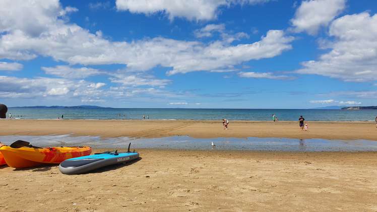 24a Bay Street Red Beach_29