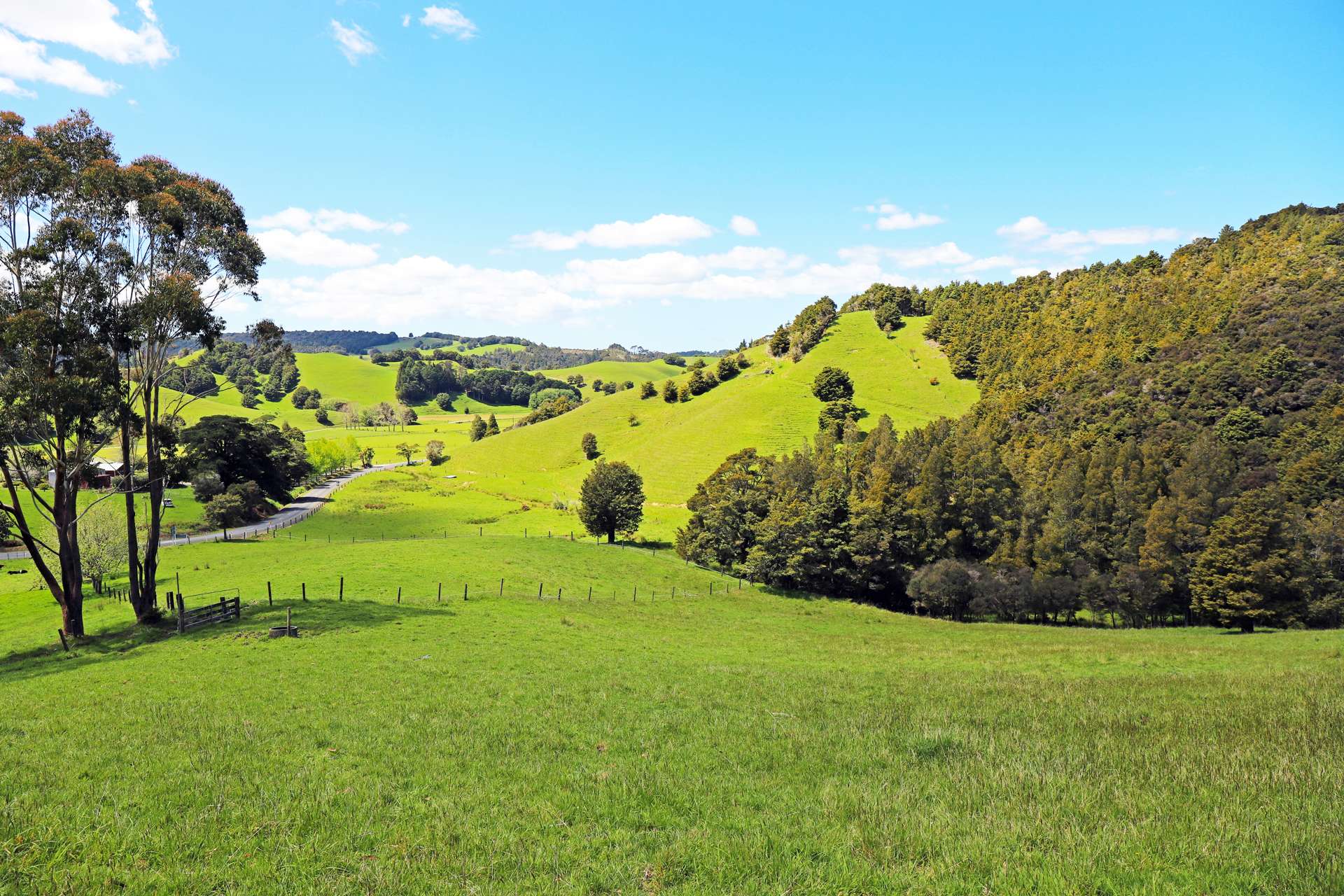Hukerenui Road Hukerenui and Surrounds_0
