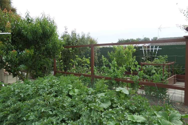 10 Skerten Avenue Hornby_11