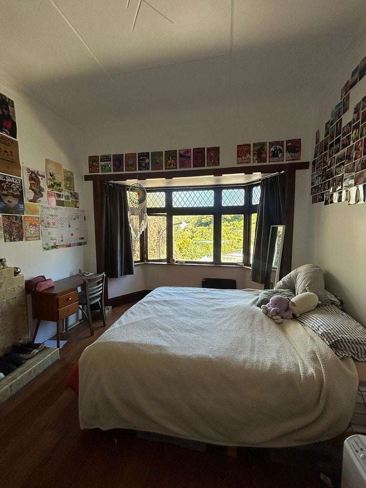 46 Norway Street Aro Valley_17