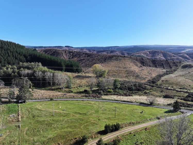 995 Berwick Road Berwick Forest_19