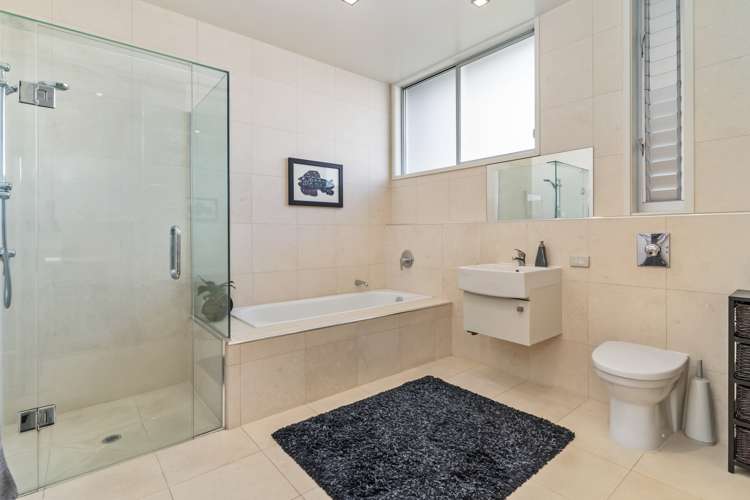 22a Patteson Avenue Mission Bay_21