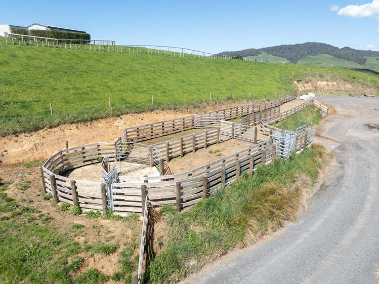 231A Morgan Road Matamata_11