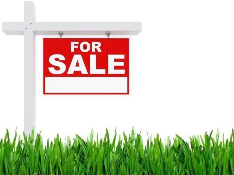 38 Myland Drive Hobsonville_0