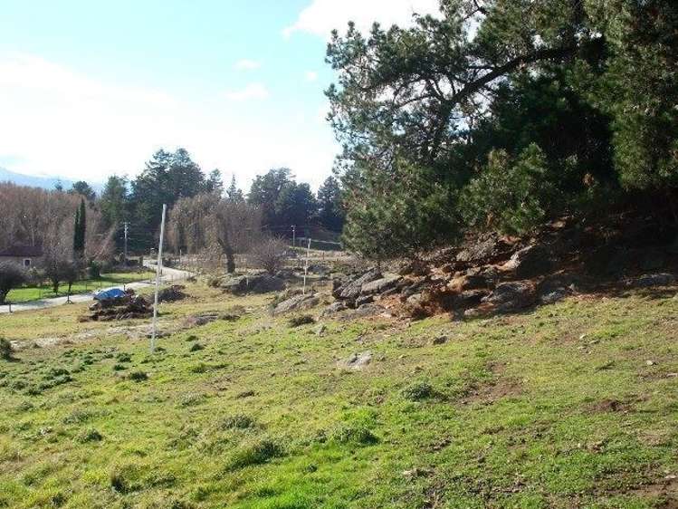 376a Earnscleugh Road Alexandra_13