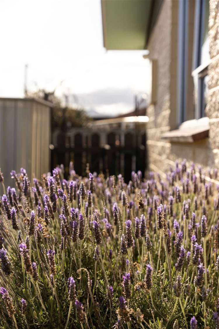 42a Mclauchlan Street Springlands_24