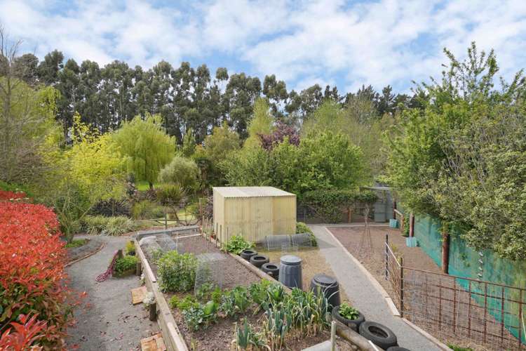 426 Collins Road Springston_13