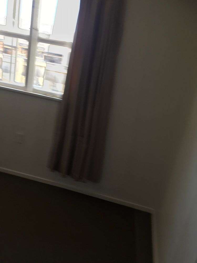 406C Alexandra Street Hastings_3