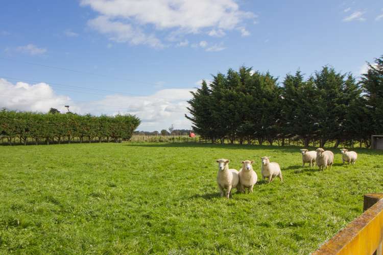 2027 Longburn Rongotea Road Longburn_6