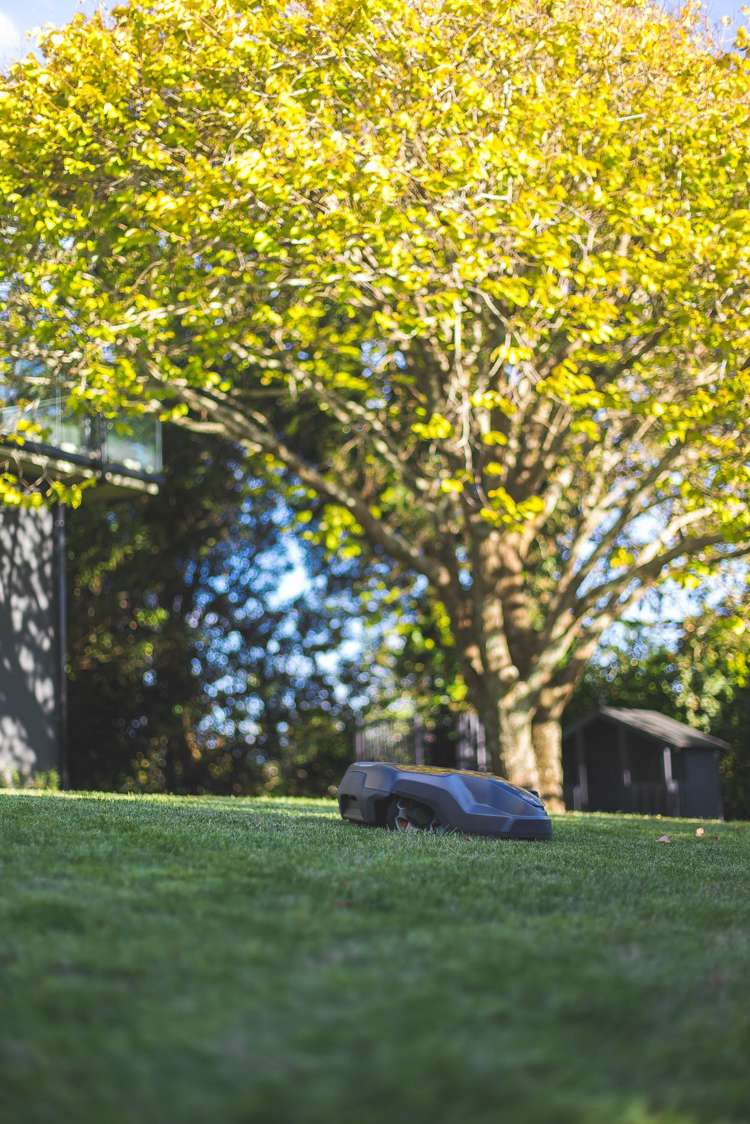 31b Waimarie Street Saint Heliers_40