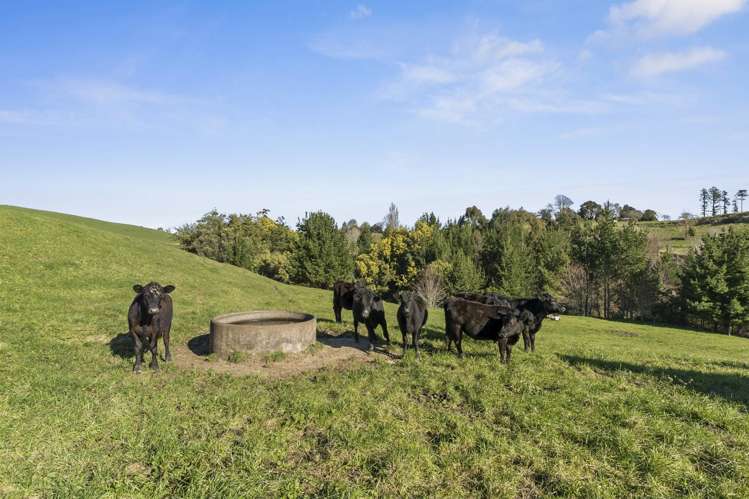 320 Morgan Road Matamata_24