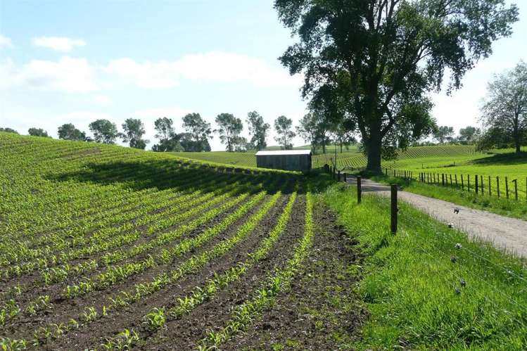 5 Overdale Road Putaruru_13