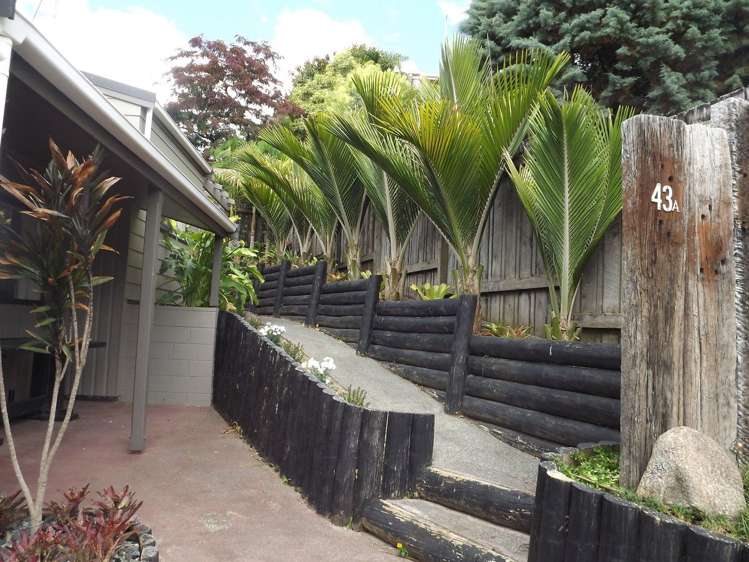 43a Victoria Street Warkworth_15