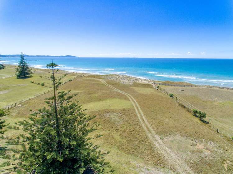 1905 Pataua North Road Pataua_5